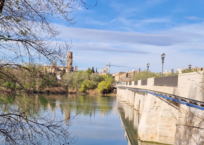 Tudela desde el puente del Ebro