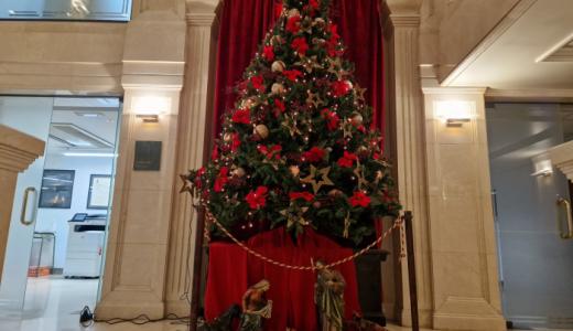 Arbol ayuntamiento