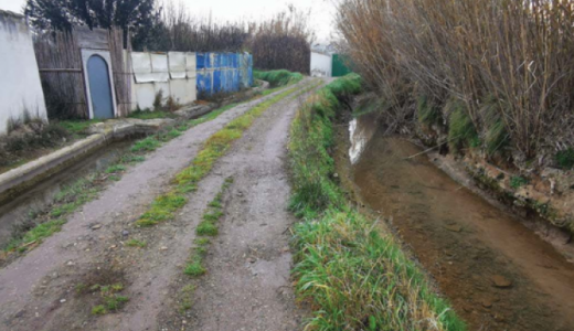 Caminos agrícolas