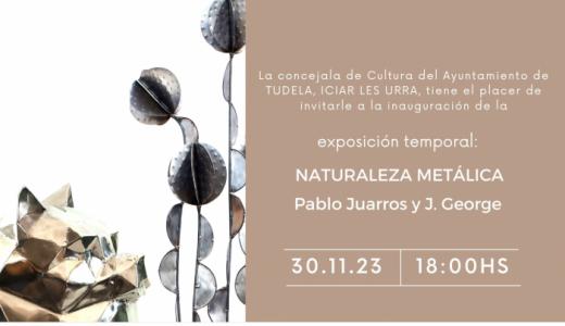 Exposición de Naturaleza Metálica