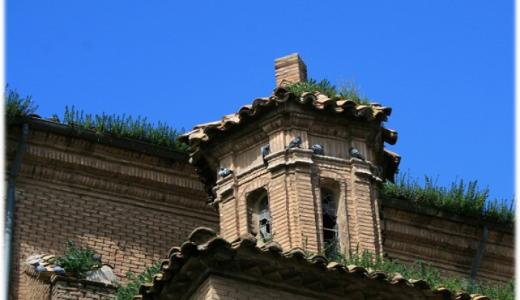 Palomas en edificios casco Antiguo