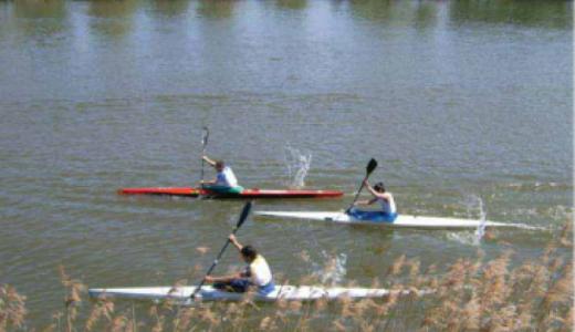 Regata piragüismo