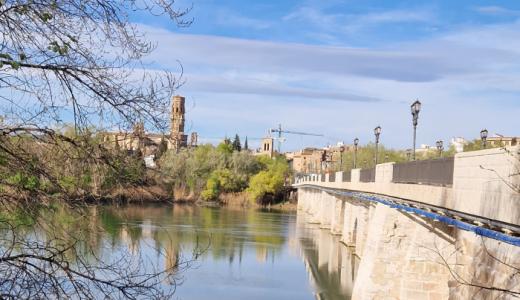 Vista Tudela desde el puente del Ebro