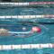 Campaña Natación Escolar 4